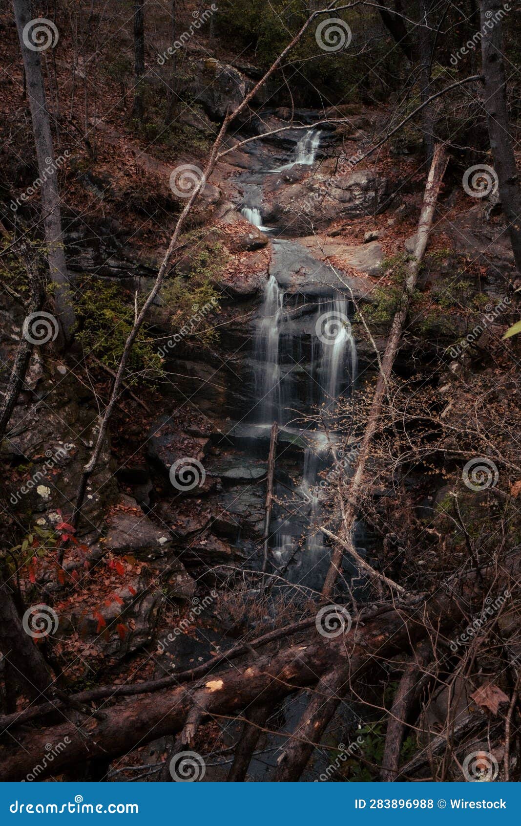 a small waterfall that has fallen branches in the woods above it