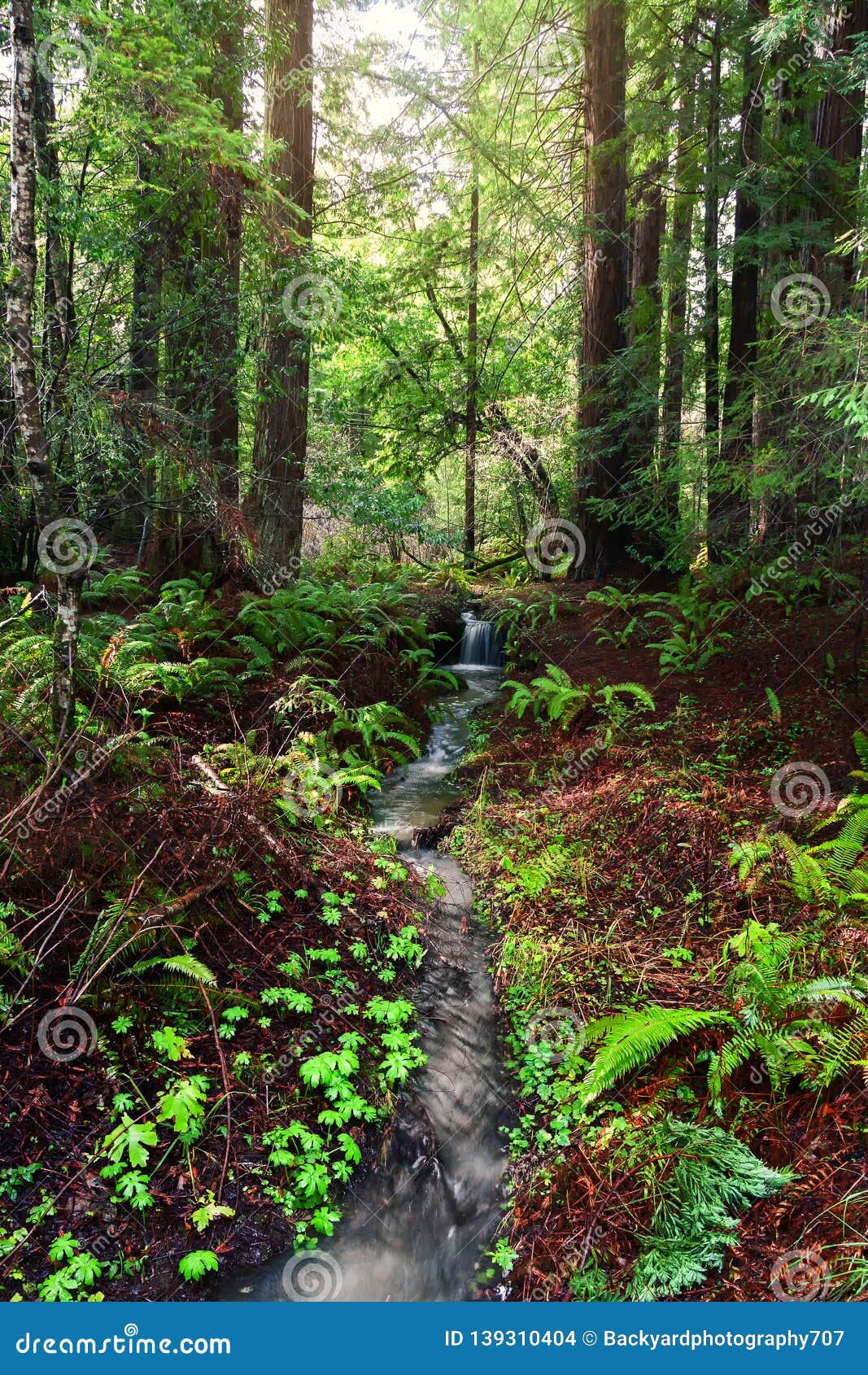 Small Waterfall in the Mountains of Northern California Stock Photo