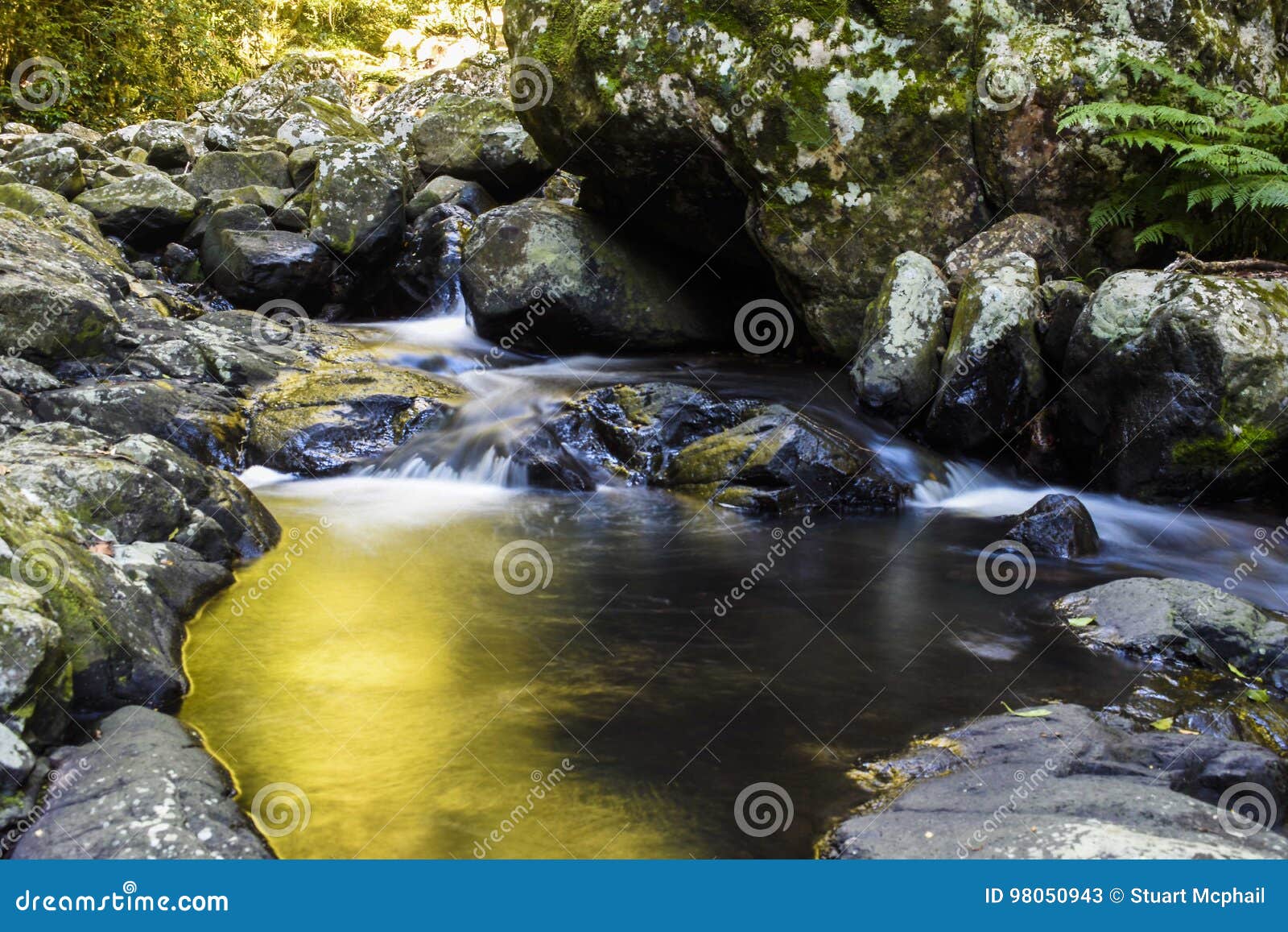 Small Waterfall In Springbrook National Park Stock Image Image