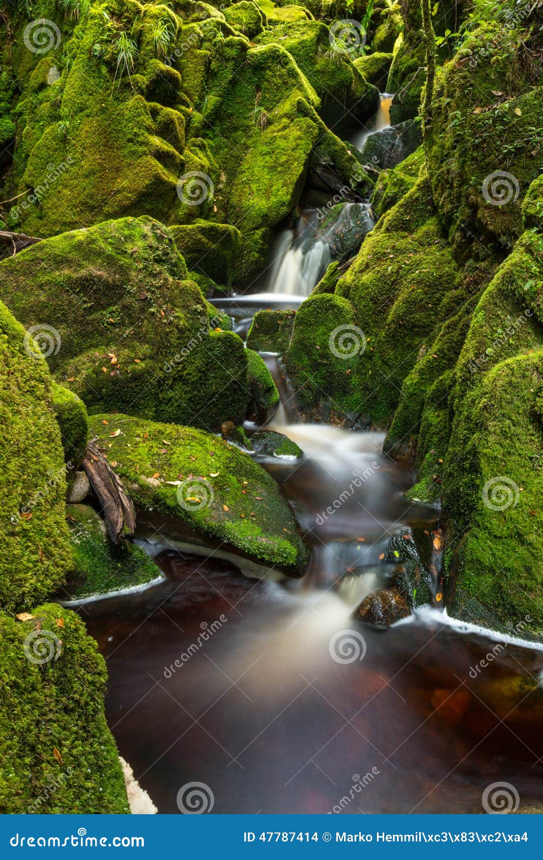 Small Waterfall Surrounded by Green Mossy Rocks Stock Photo - Image of ...