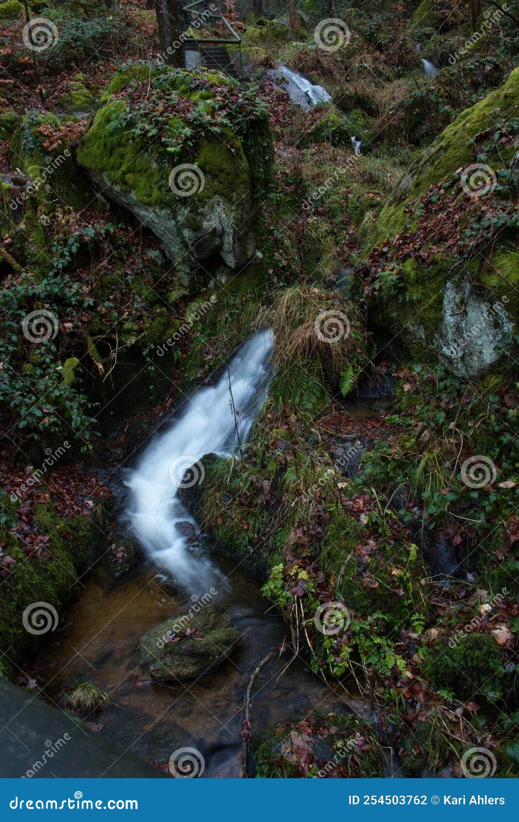 small waterfall on a walking path in the black forest