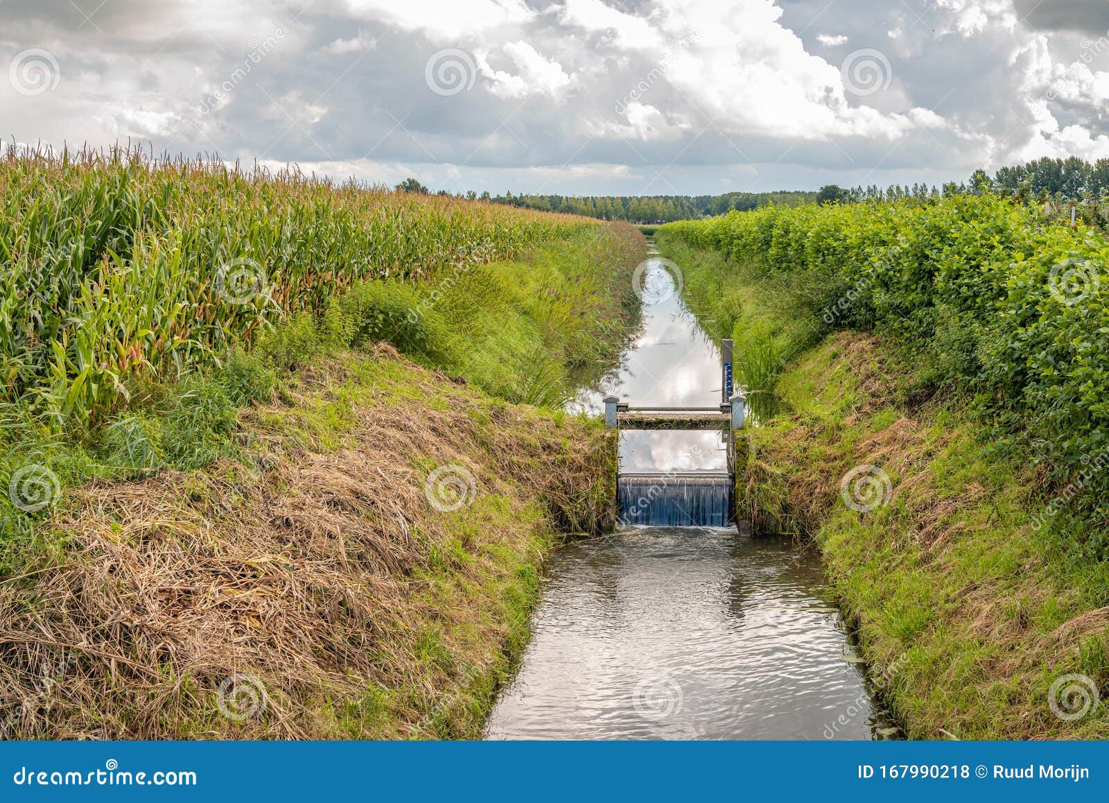 Small Weir in a Ditch between Two Fields Stock Photo Image of flow