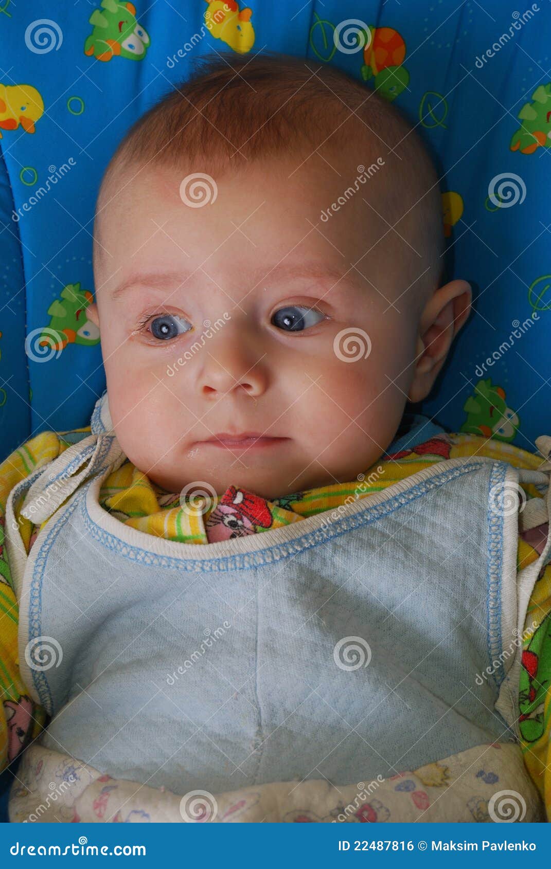 Small white boy stock photo. Image of healthy, family 22487816