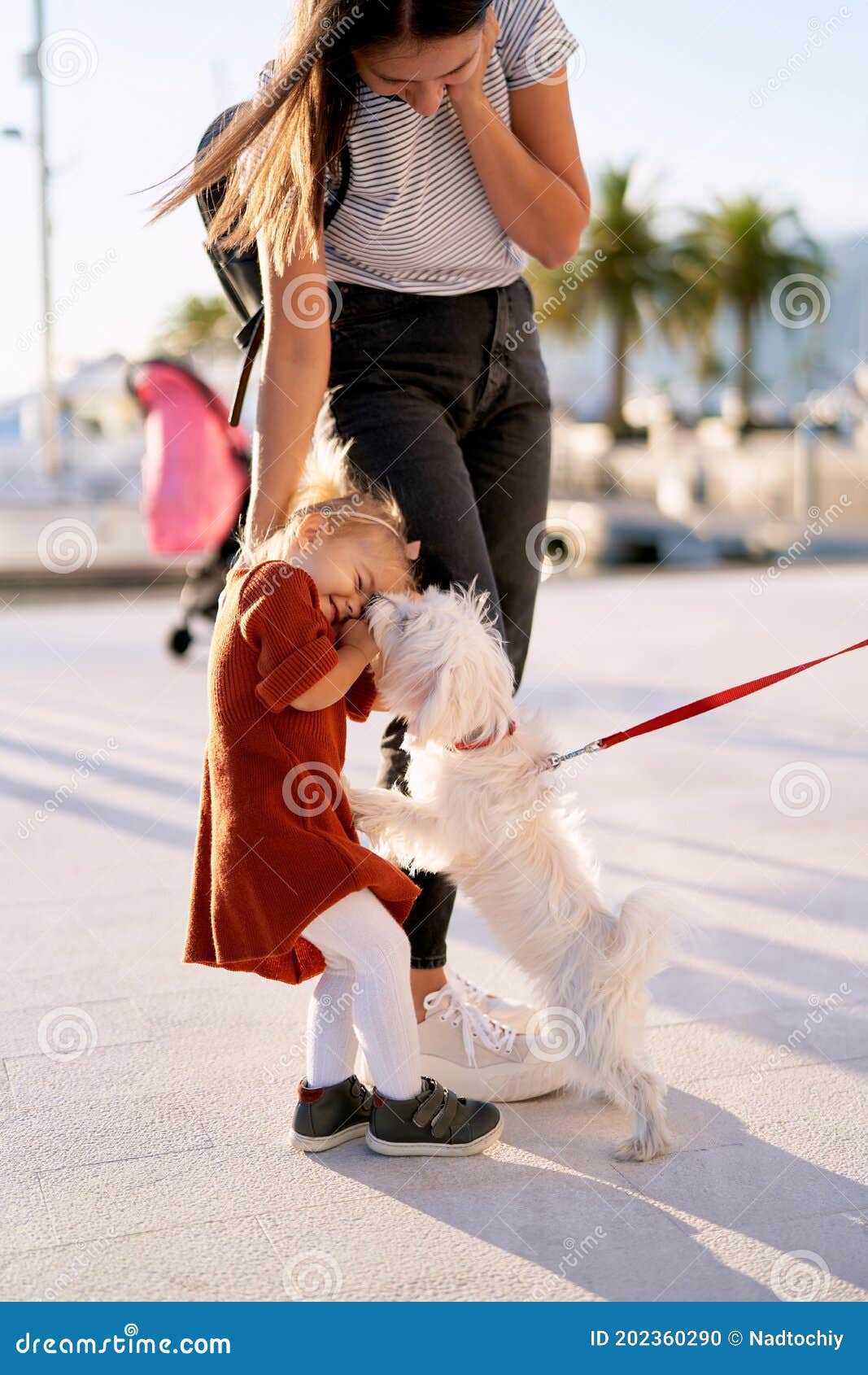 Black mom lick teen 173 Dog Licking Baby Face Photos Free Royalty Free Stock Photos From Dreamstime