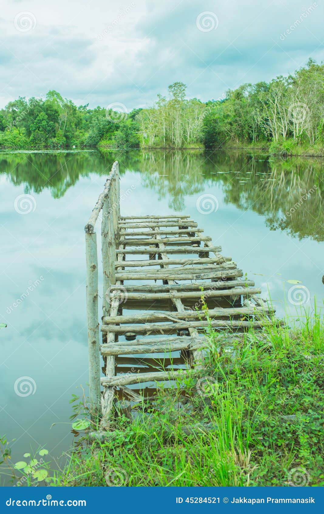 Small Wooden Bridge in Lake with Reflection of Trees Stock Image