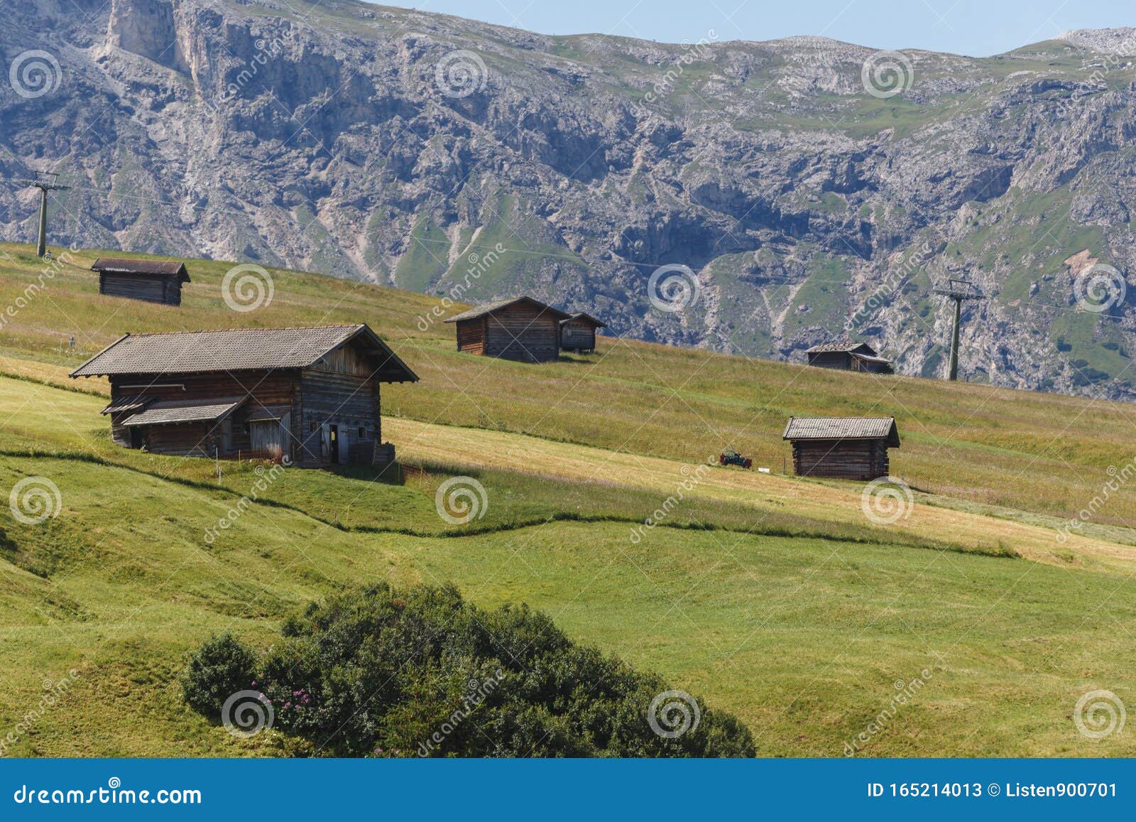Alpine meadow in Italy | Royalty free photo - 1230619