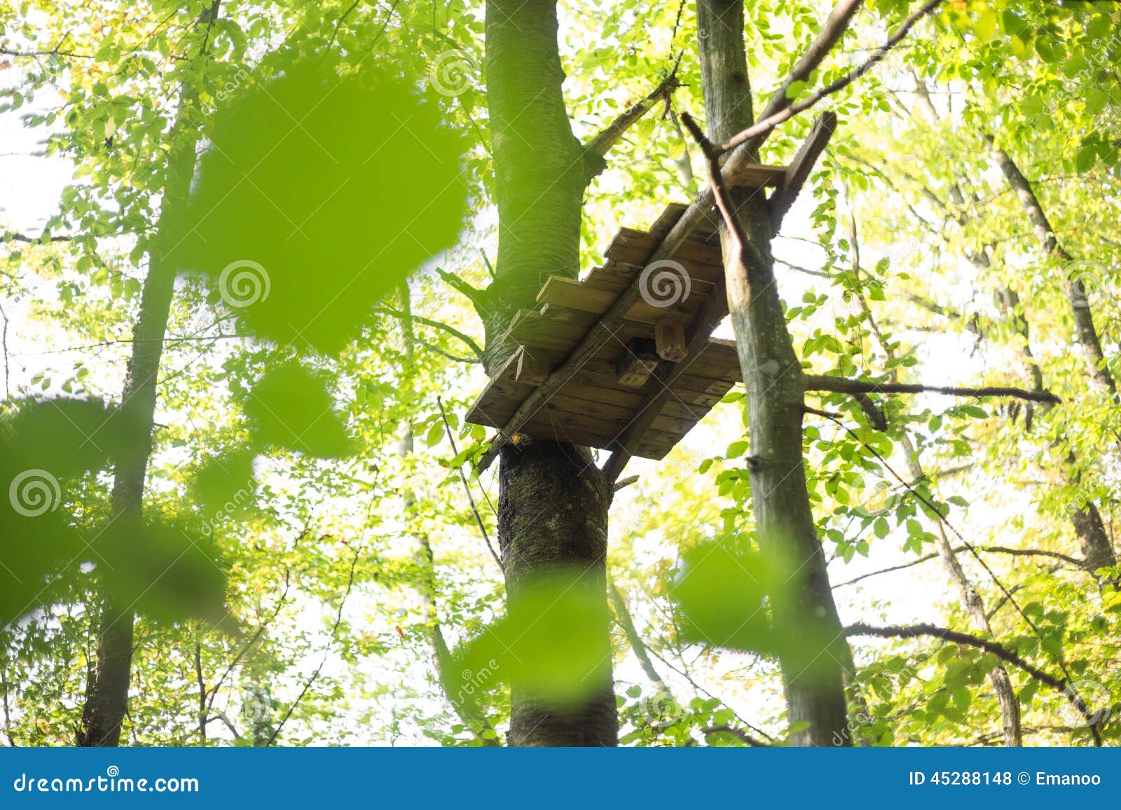 Small Wooden Platform in Trees Stock Photo Image of mountains, garden