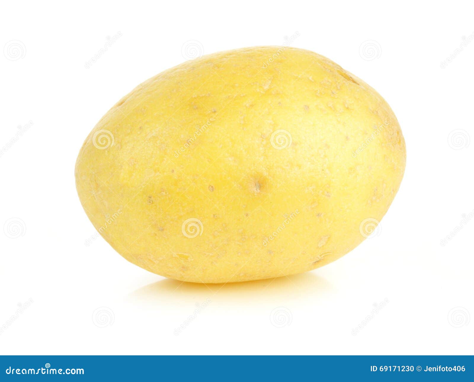 Small Yellow Potato Isolated on White Stock Photo Image of baby