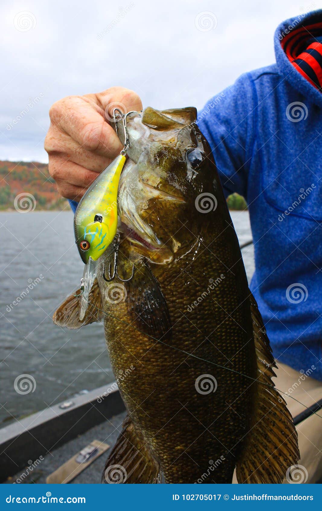 Smallmouth Bass Fishing Deep Diving Crankbait Stock Image - Image of fishing,  bass: 102705017