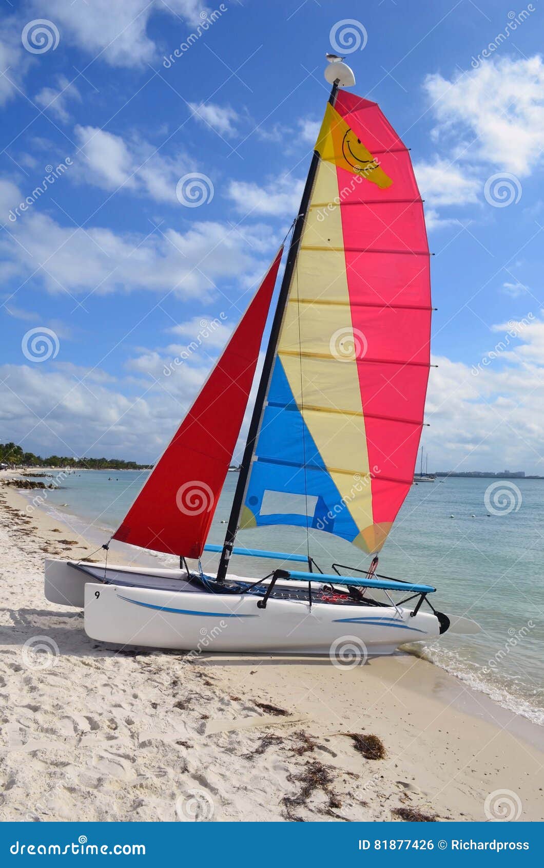 smallsailing catamaran