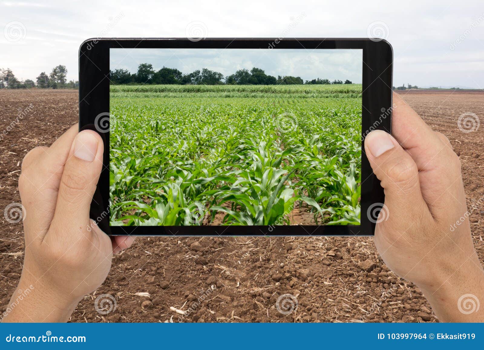 smart agriculture with augmented reality technology futuristic c