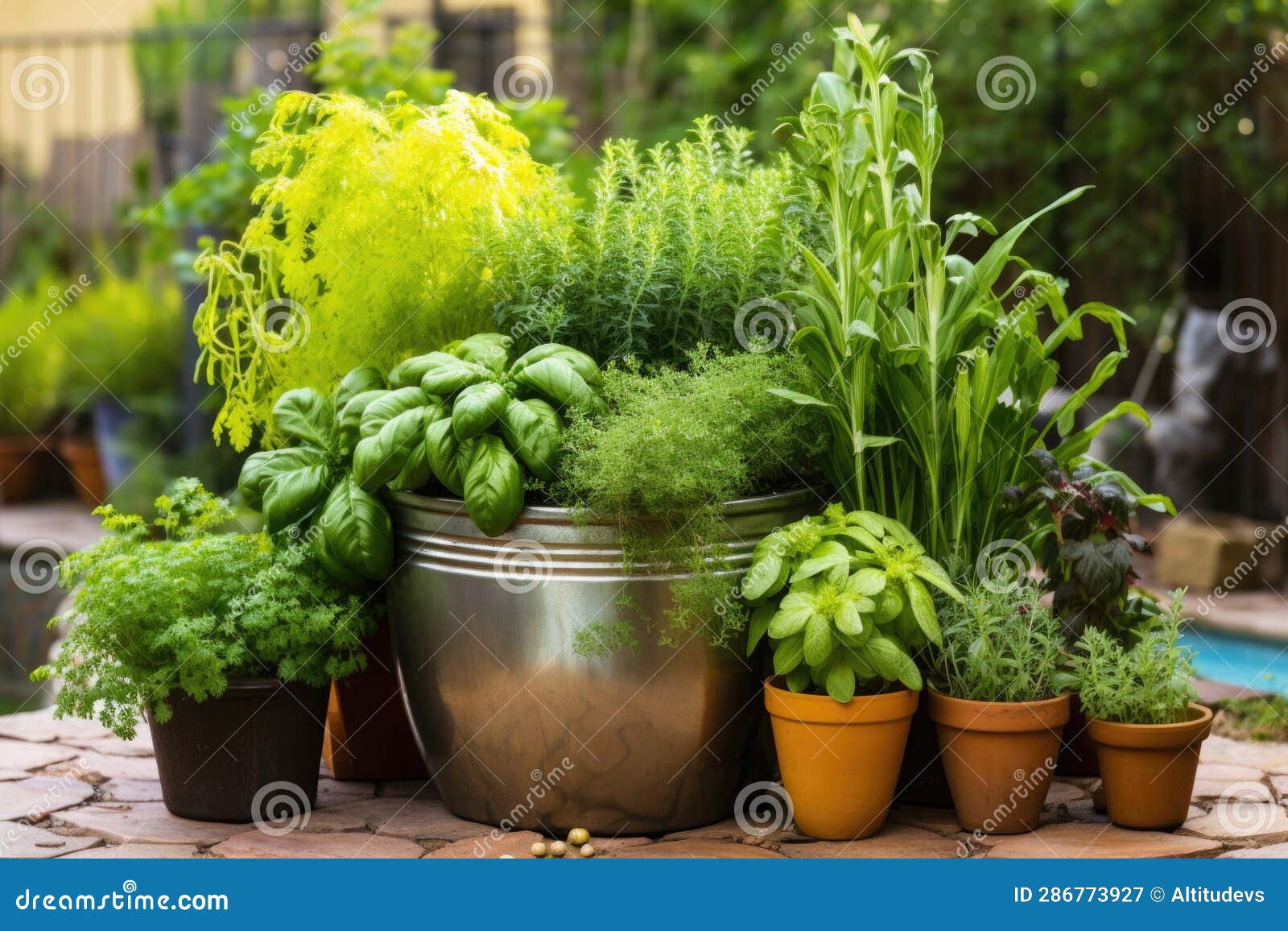 A Smart Pot Garden Filled with Various Herbs and Veggies Stock Image