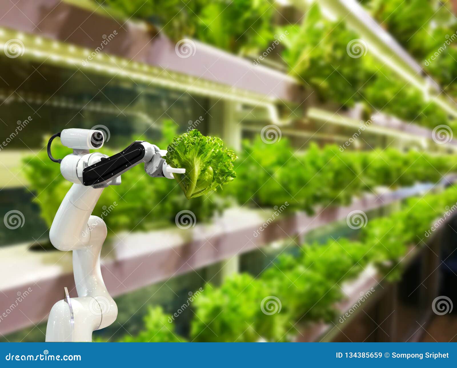 Smart Farming Technology