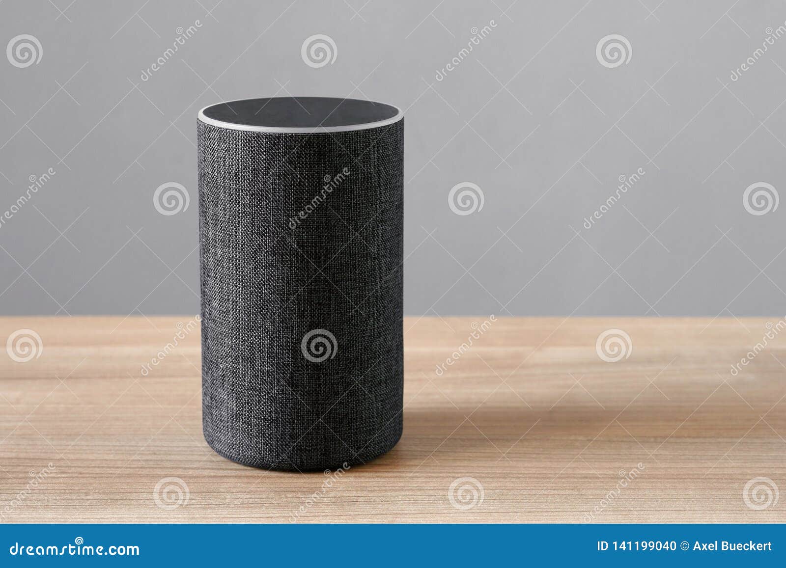 home digital assistant