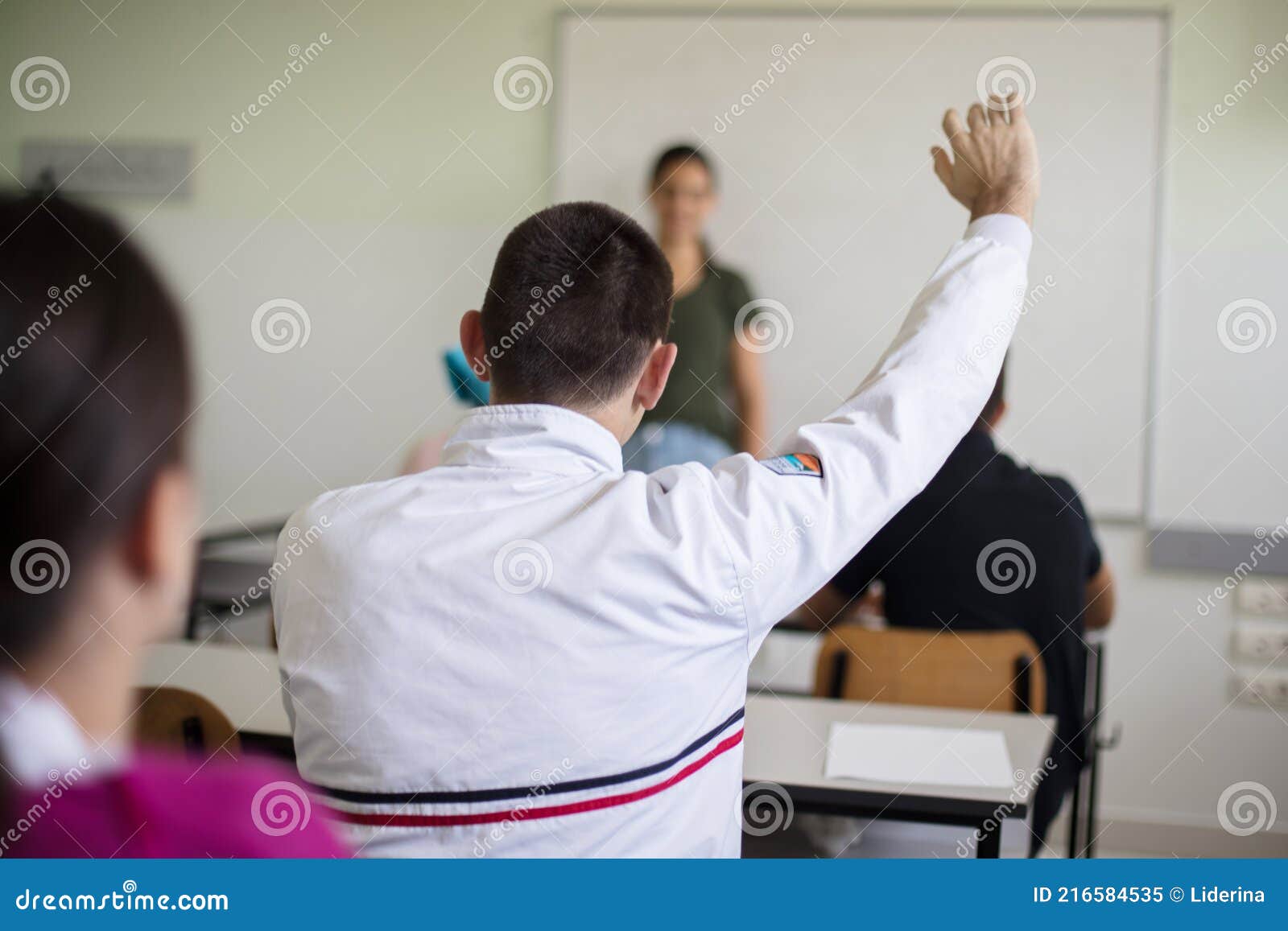 Back View of Elementary Students Raising Their Arms on a Class Stock
