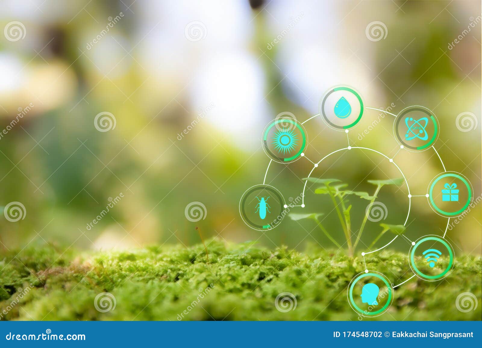 smart technology with internet of things futuristic agriculture concept. analysis report with one finger click on digital screen.