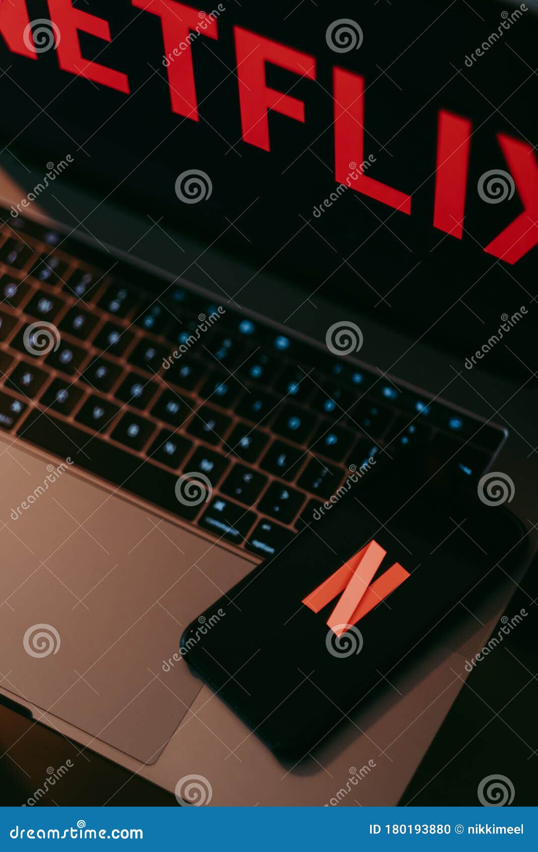 Netflix logo on computer monitor, Netflix-Logo auf Computermonitor