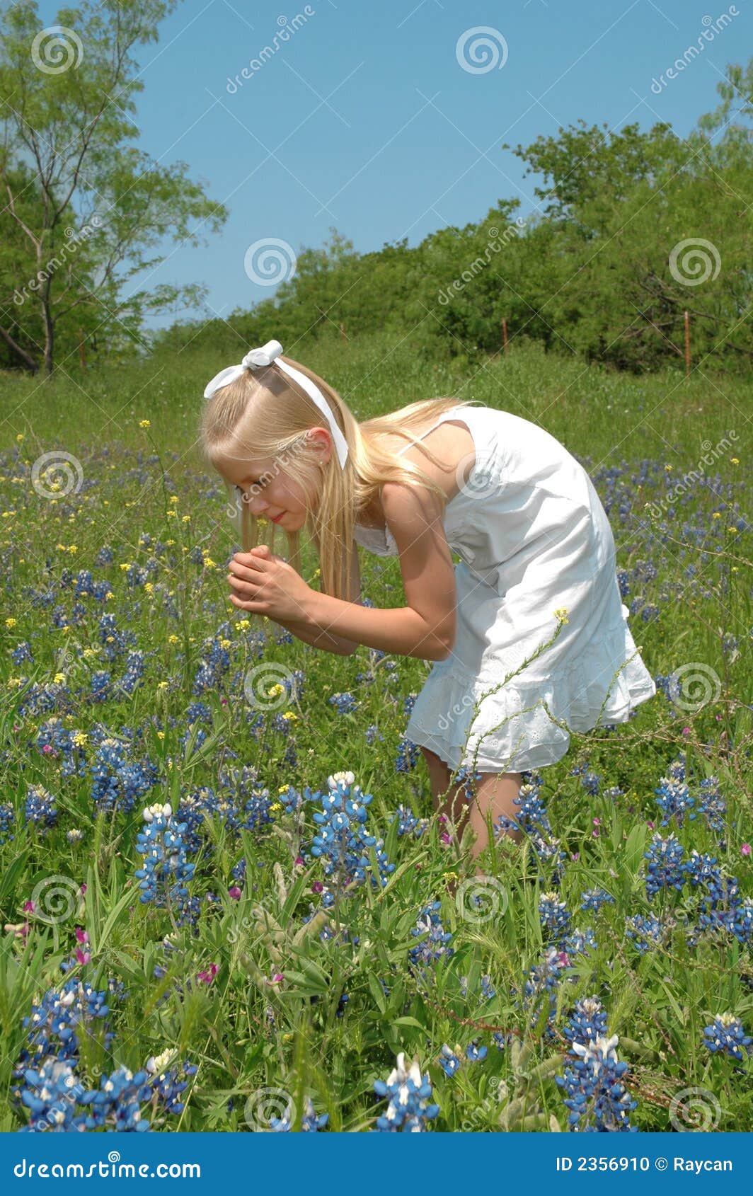 Smell the Flowers stock photo. Image of friends, life 2356910