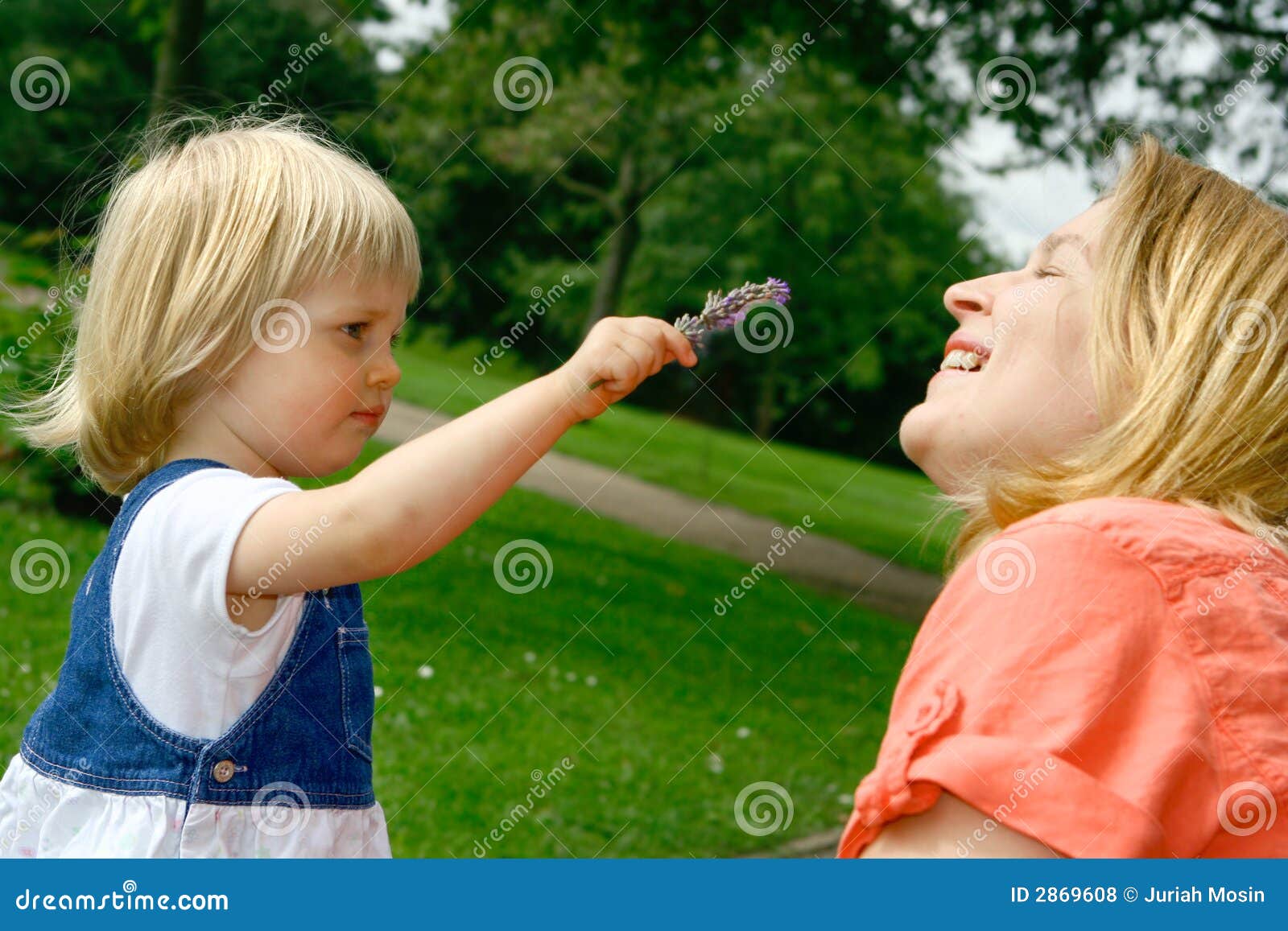 Smell the Lavender, Mummy ! Stock Photo Image of enjoy, fingers 2869608
