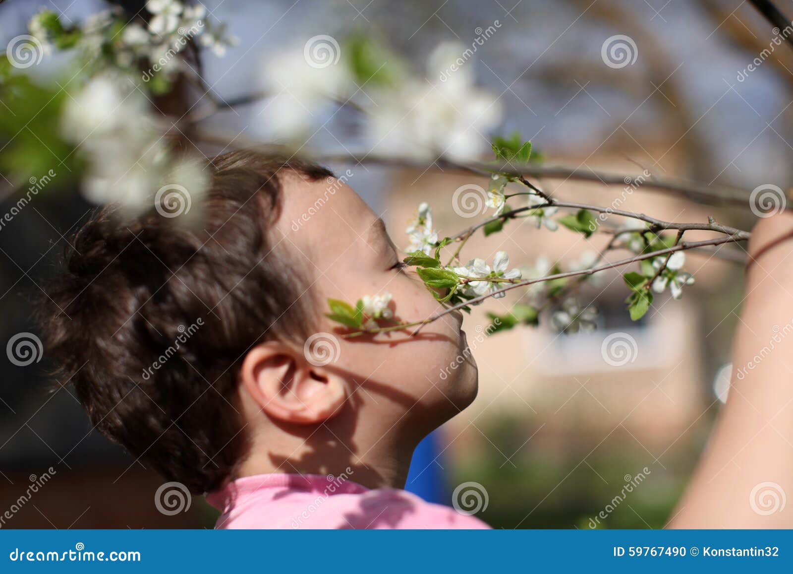 Smelling boy a flowers stock photo. Image of smell, flower 59767490