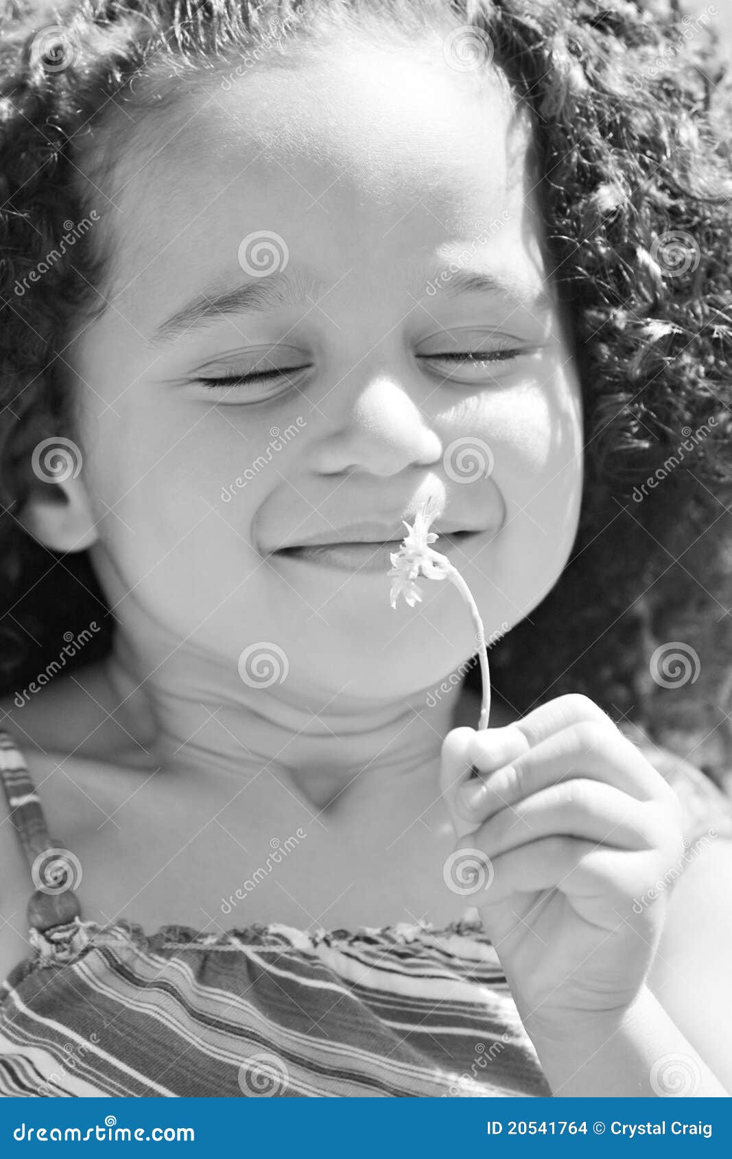 Smelling the flowers stock photo. Image of black, hand 20541764
