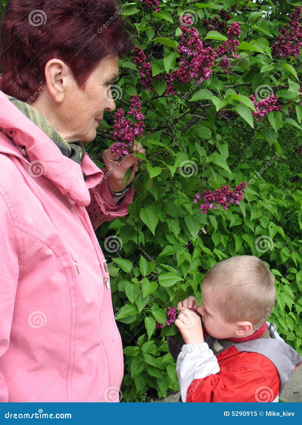 Smelling flowers stock image. Image of smelling, flower 5290915