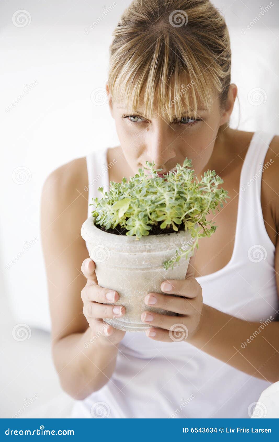 Smelling plant stock photo. Image of plant, home, vertical 6543634