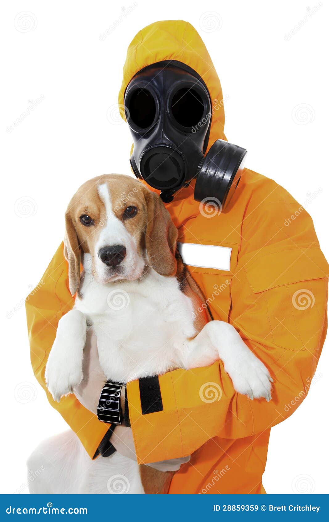 dog smelly