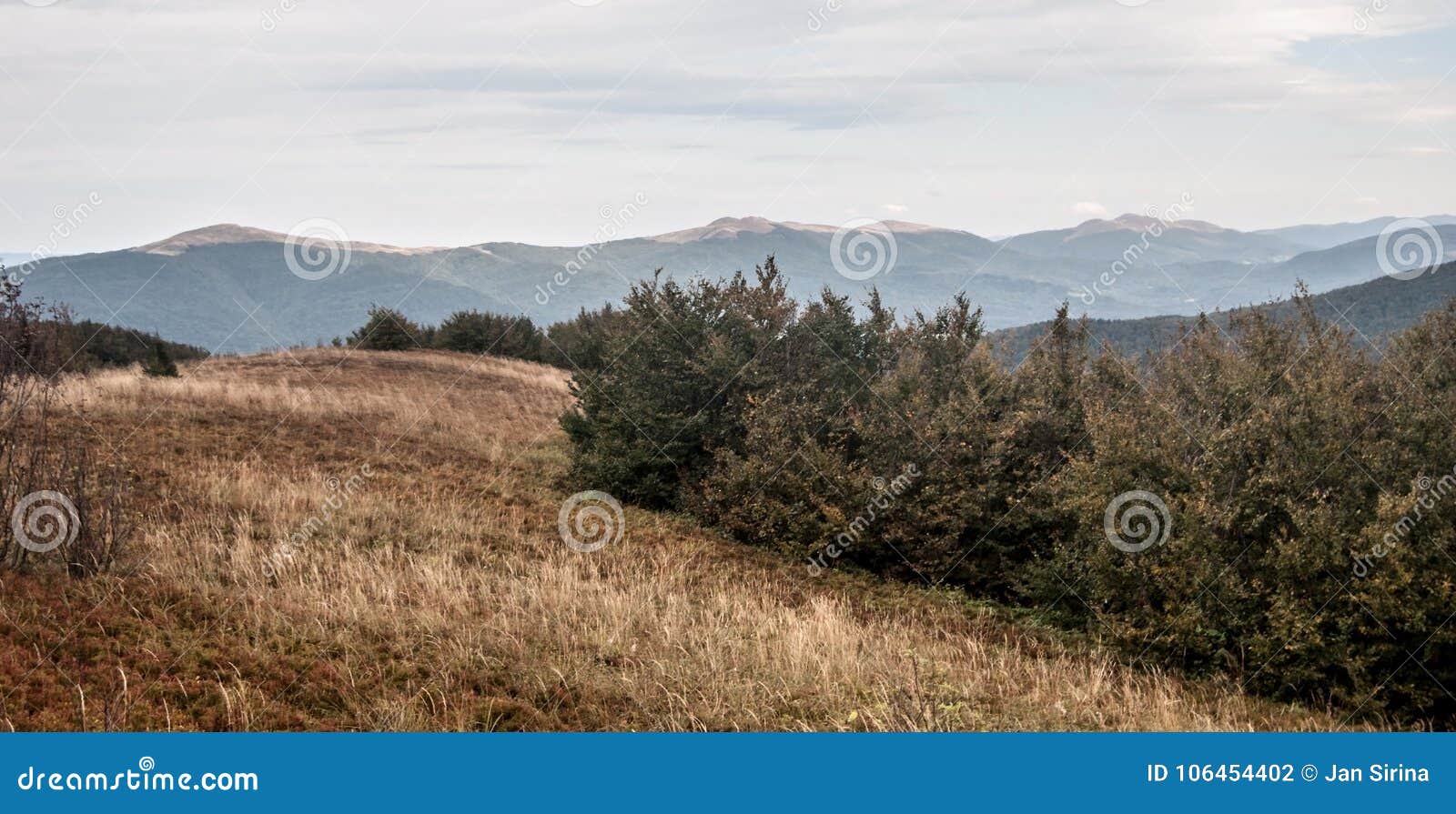 smerek polonina wetlinska and polonina carynska from jaslo hill in autumn bieszczady mountains in poland