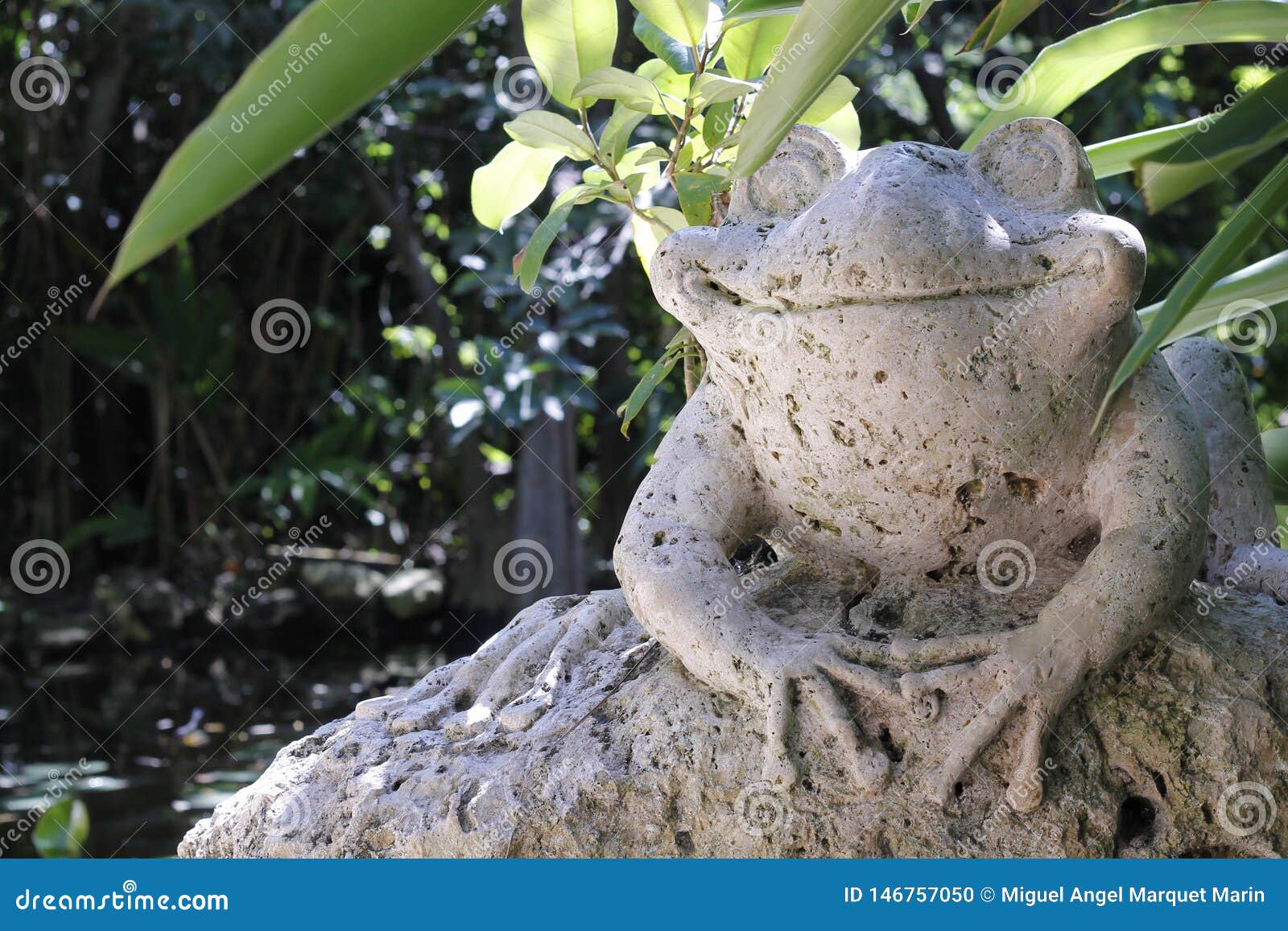 Happy Stone Frog Smiling in the Shades Stock Photo - Image of stone
