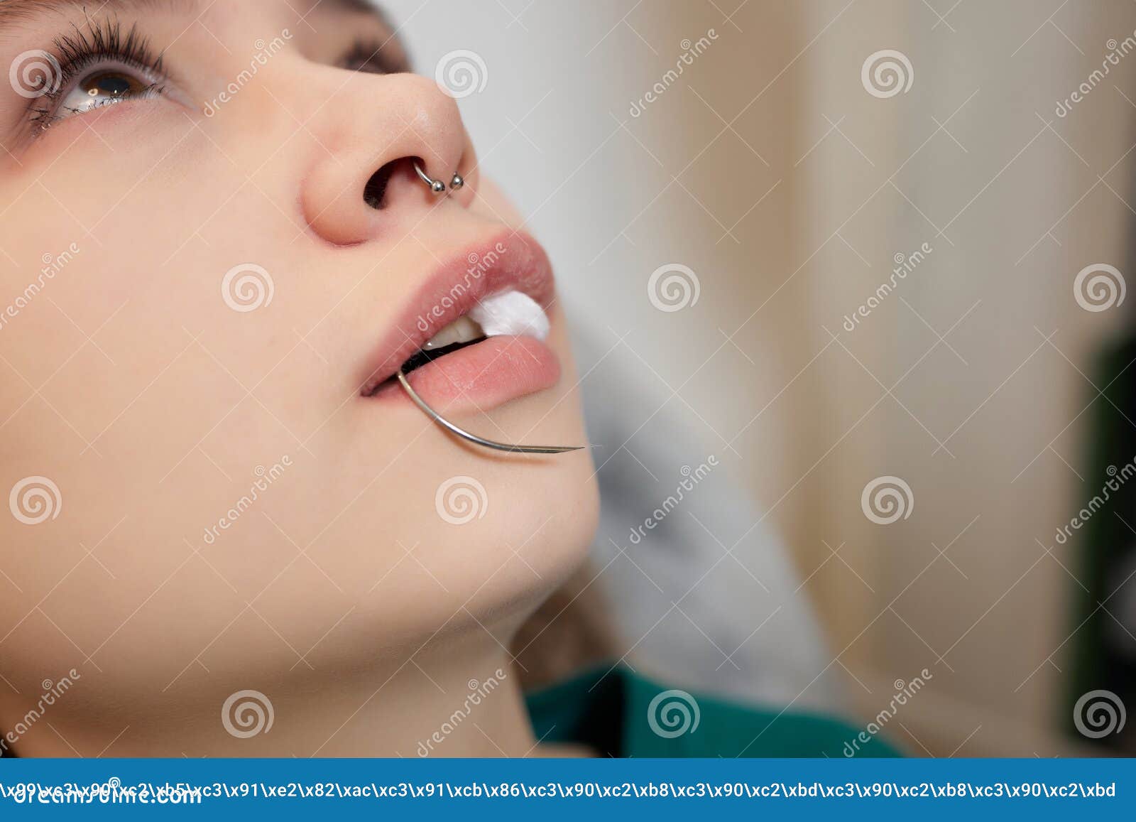 Smile or Frenulum Piercing Under the Upper Lip. Stock Image Image of