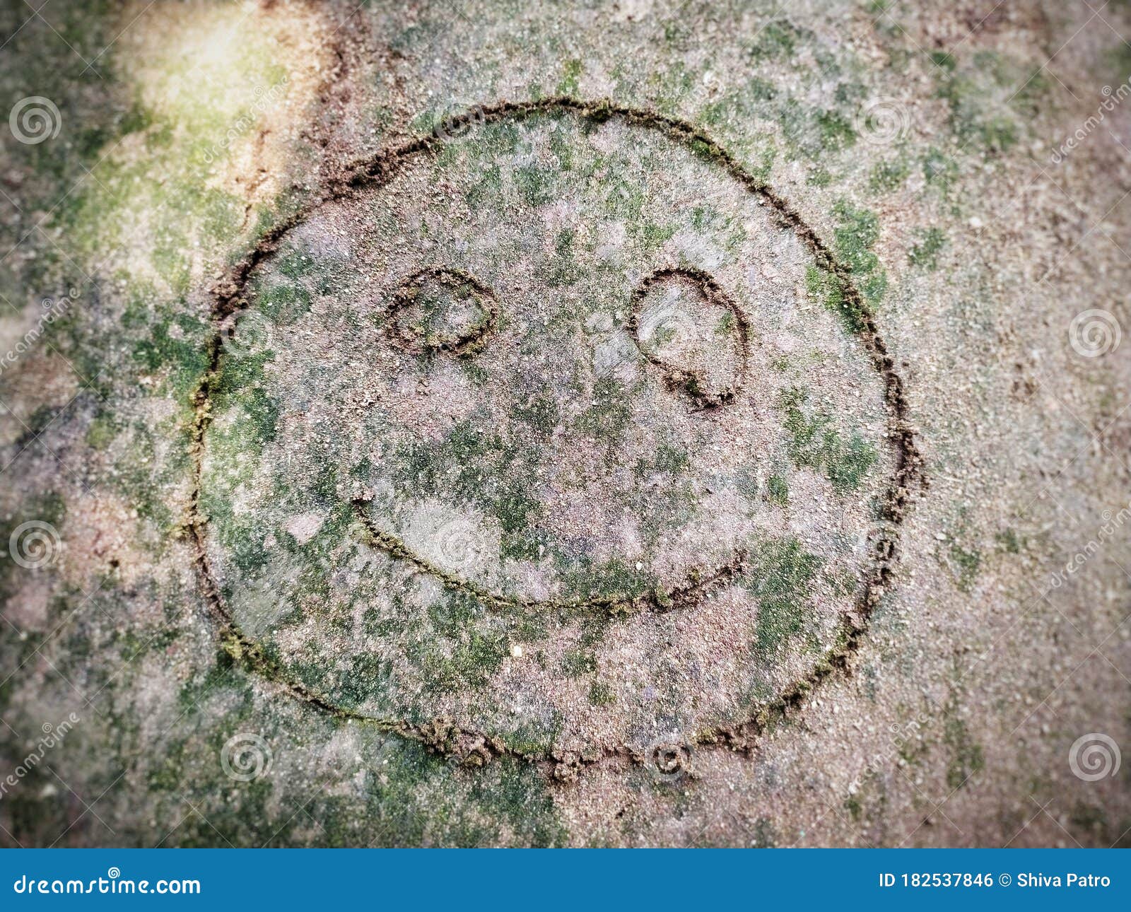 Smiley Face on Land Art Design Stock Photo Image of face, design