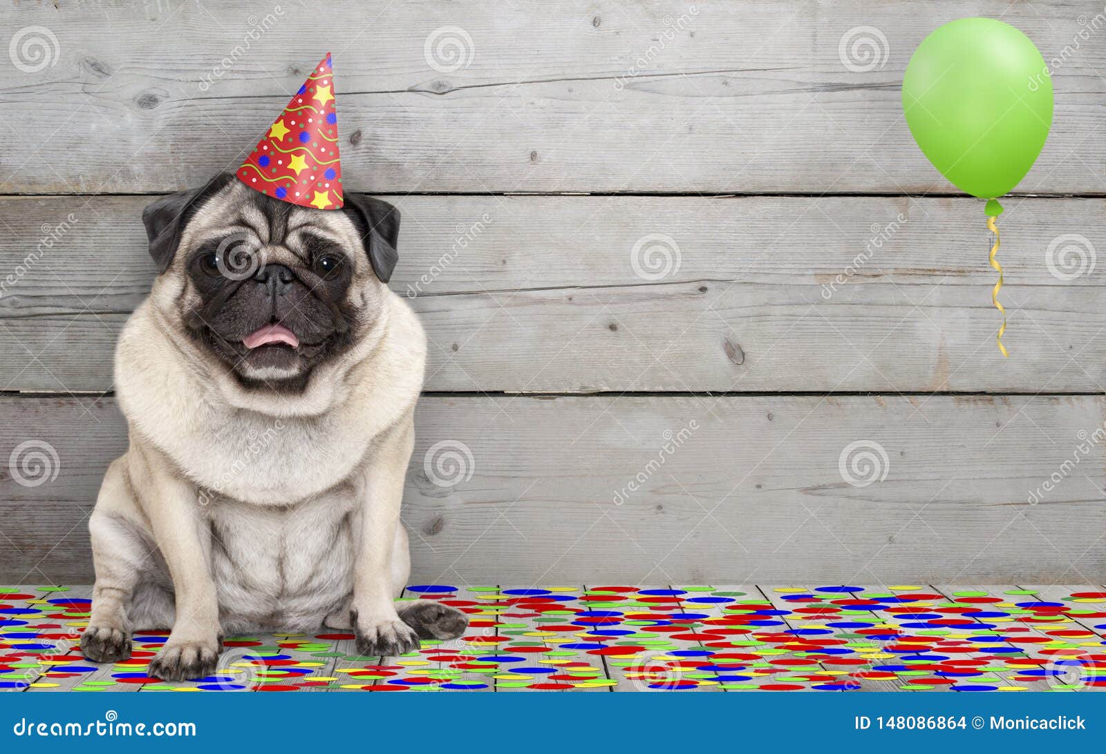 smiling birthday party pug dog, with confetti and balloon, sitting down celebrating, on old wooden backgrond