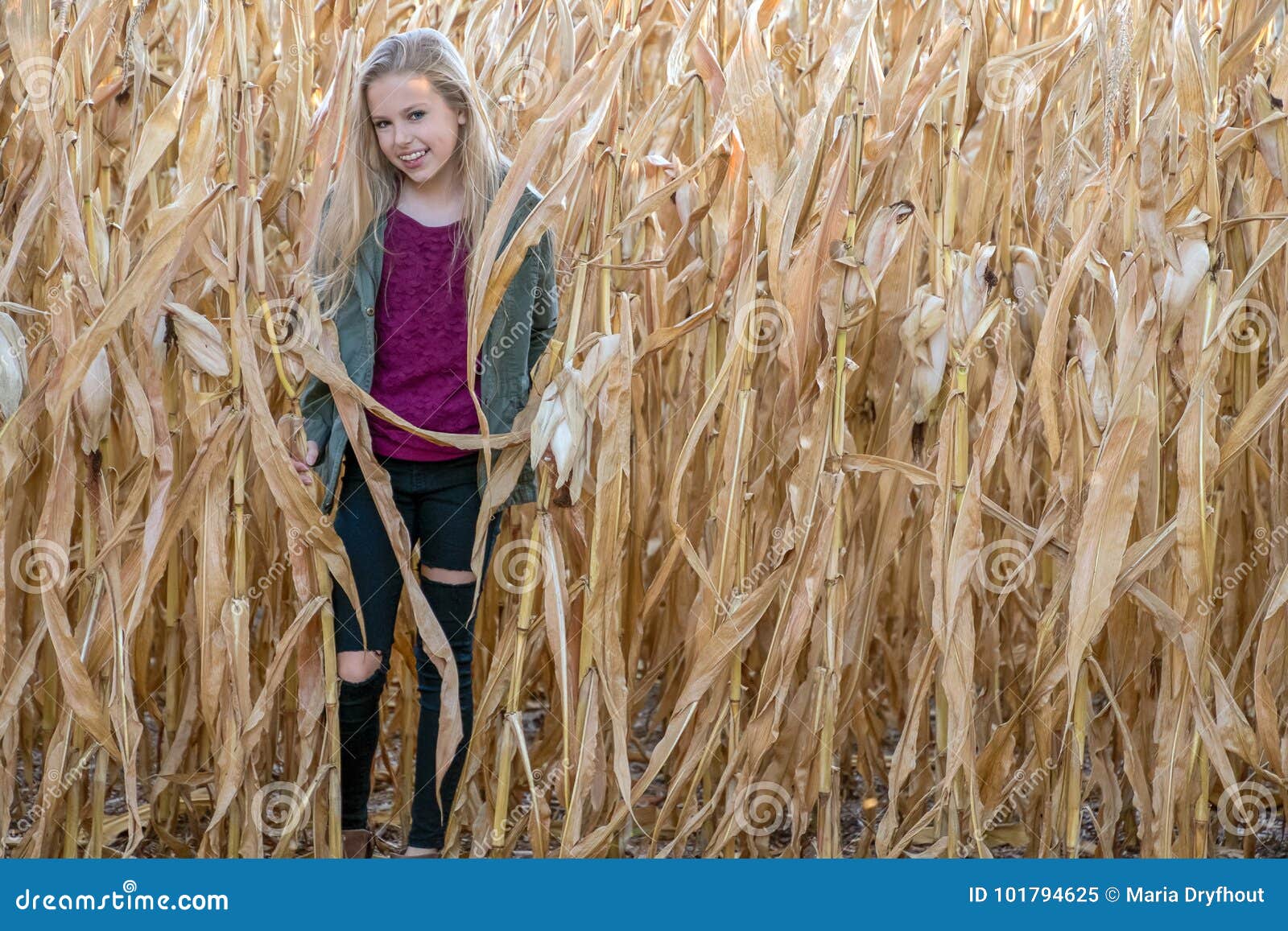 Smiling Blond Girl in Cornfield Stock Image Image of autumn, farmland