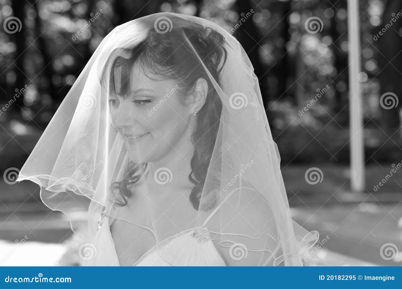 Smiling bride wearing veil stock image. Image of imaengine 20182295