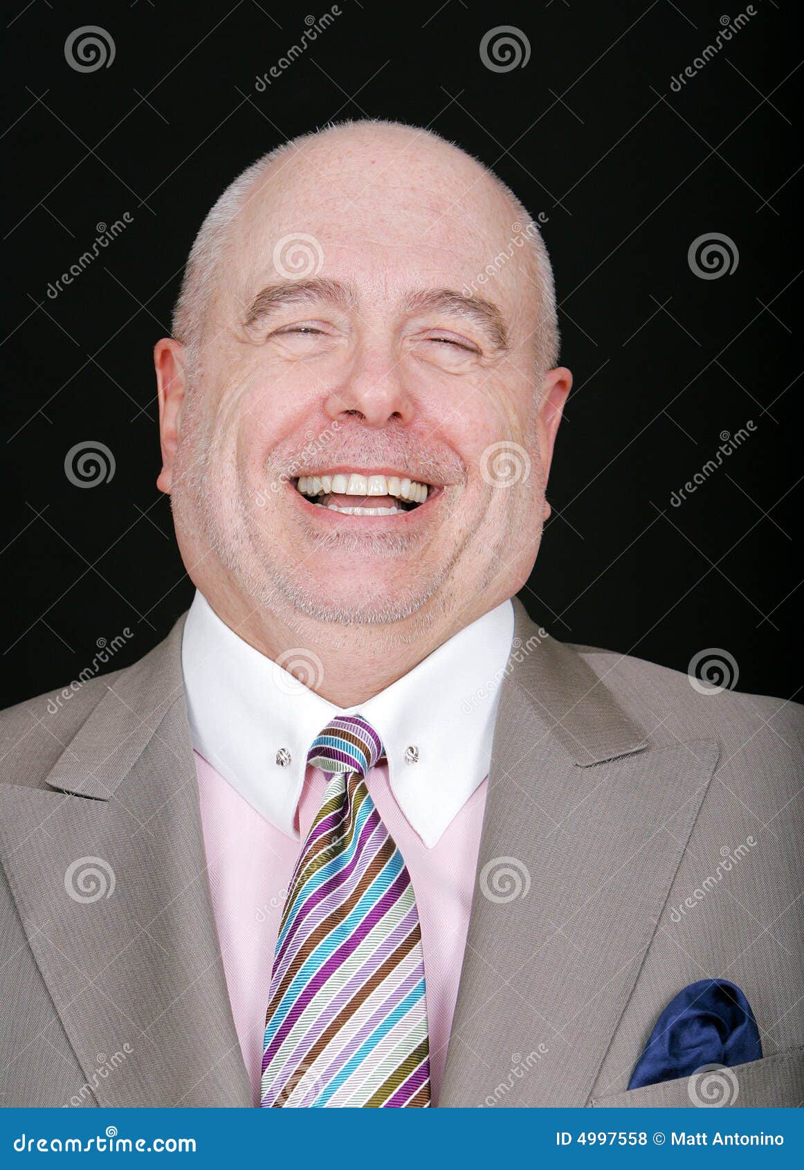 Smiling ceo stock photo. Image of portrait, happiness - 4997558