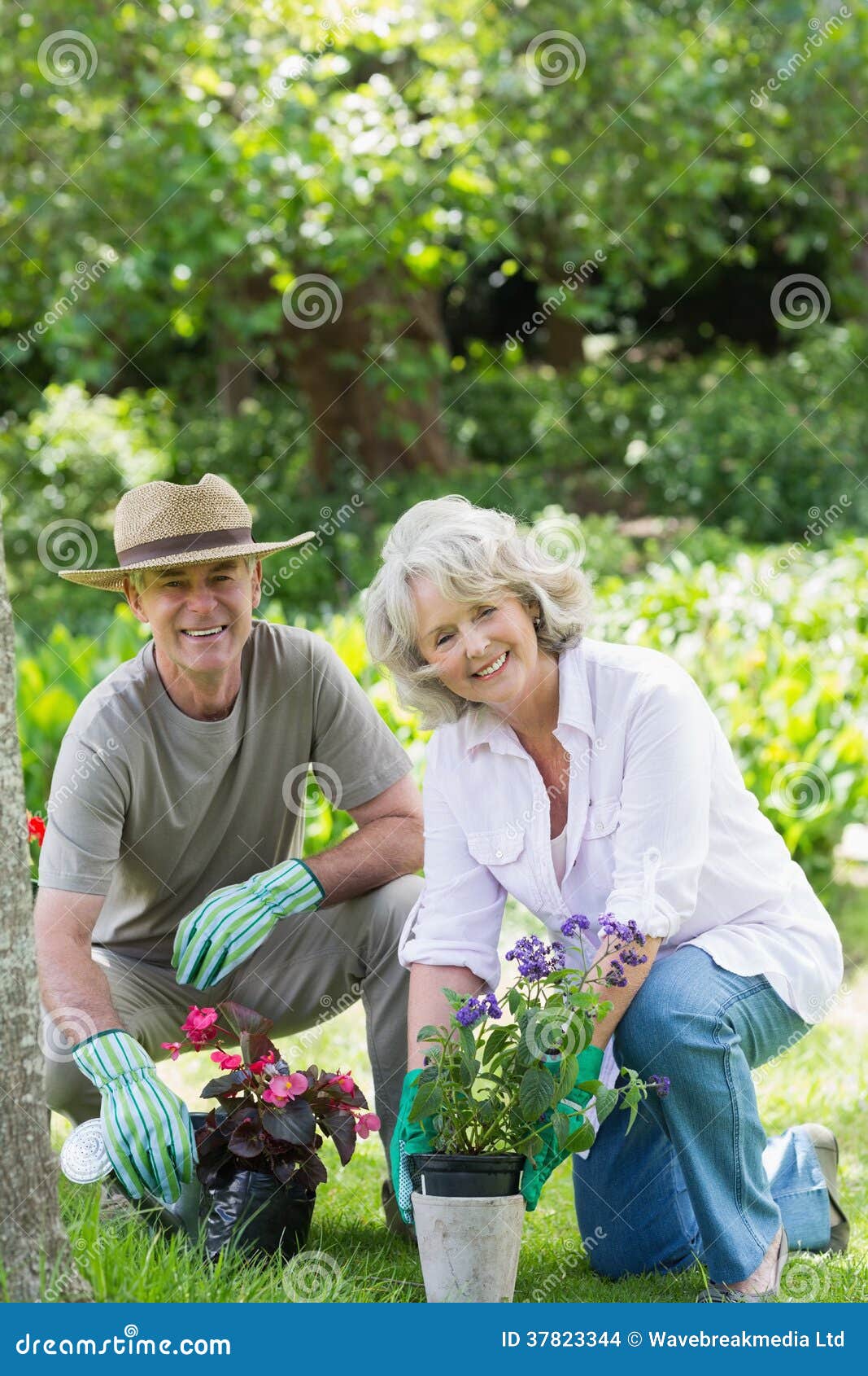 Smiling Couple Engaged in Gardening Stock Photo - Image of elderly ...