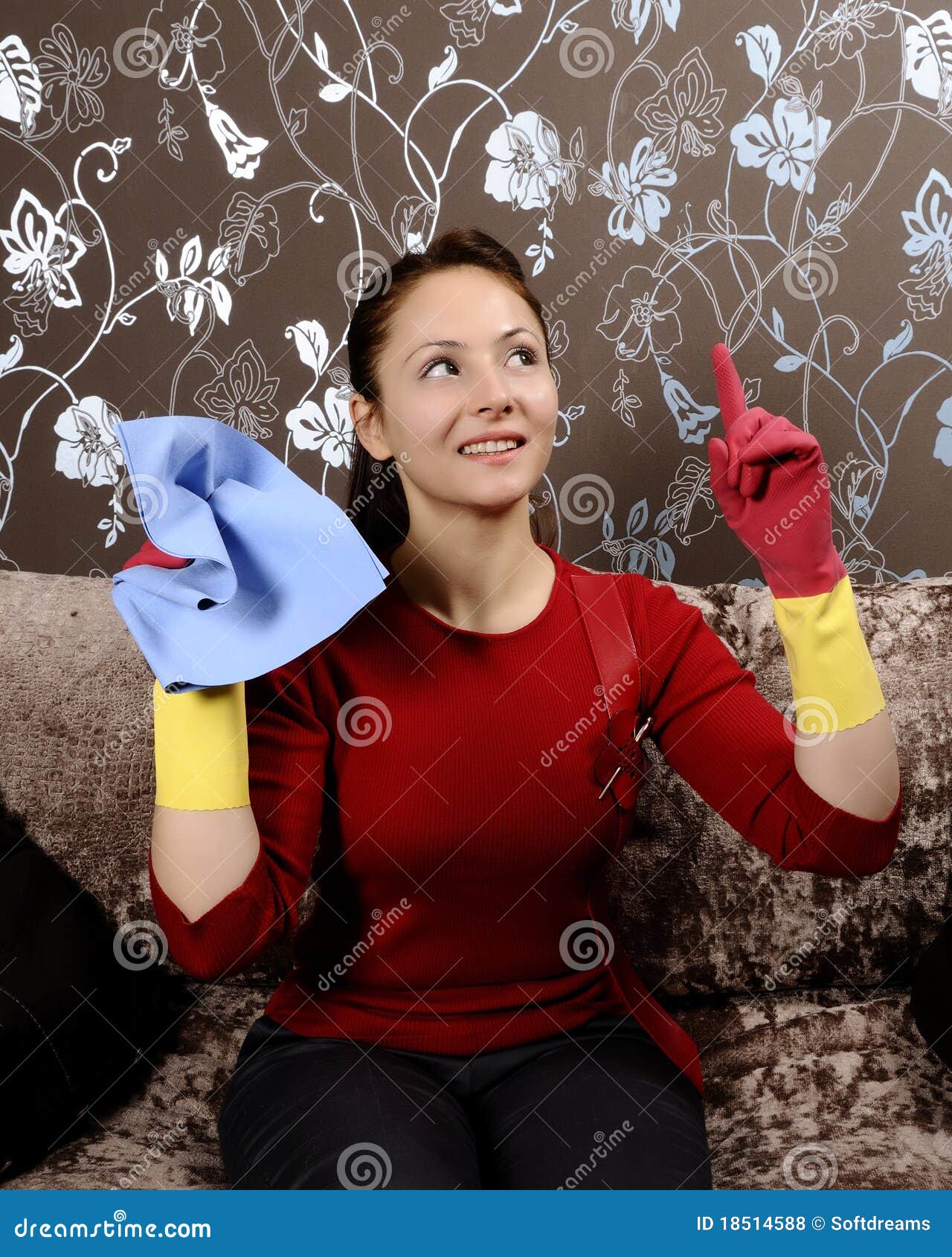 Smiling Girl Cleaning the House Stock Photo Image of help, happy