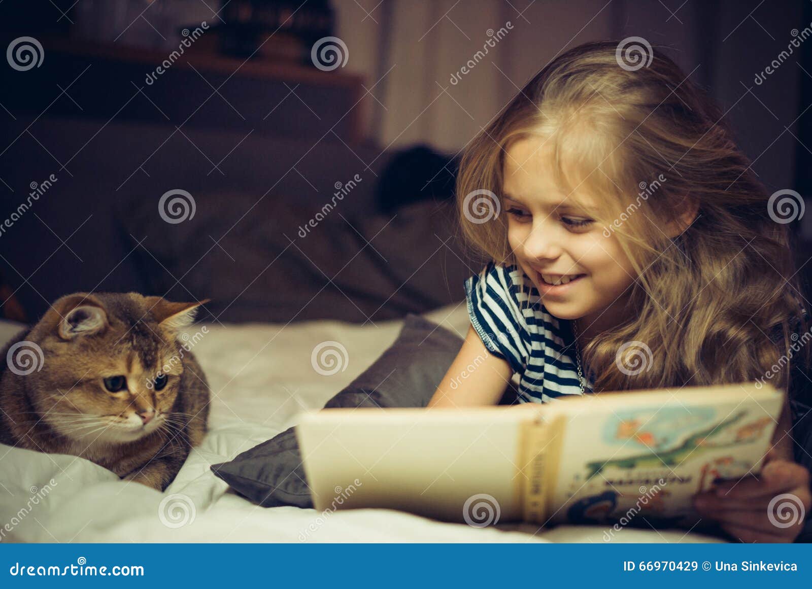 3,918 Cat Reading Stock Photos - Free & Royalty-Free Stock Photos from  Dreamstime