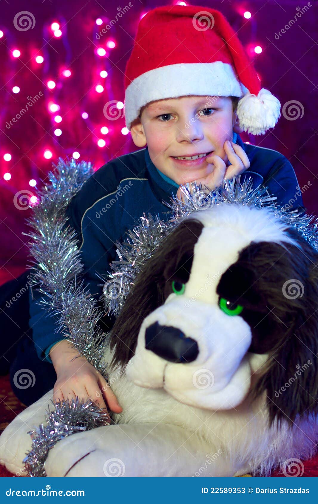 Smiling Happy Boy Kid with Christmas Present Dog Stock Image Image of