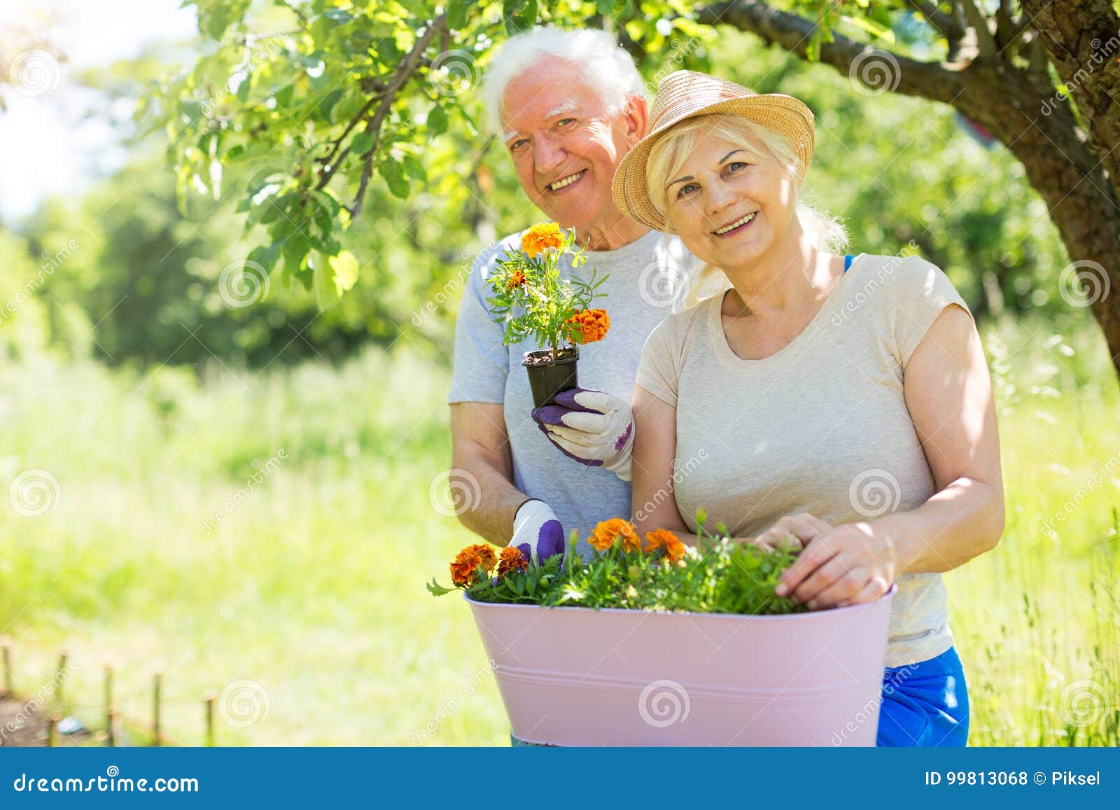 Senior couple gardening stock photo. Image of couple - 99813068