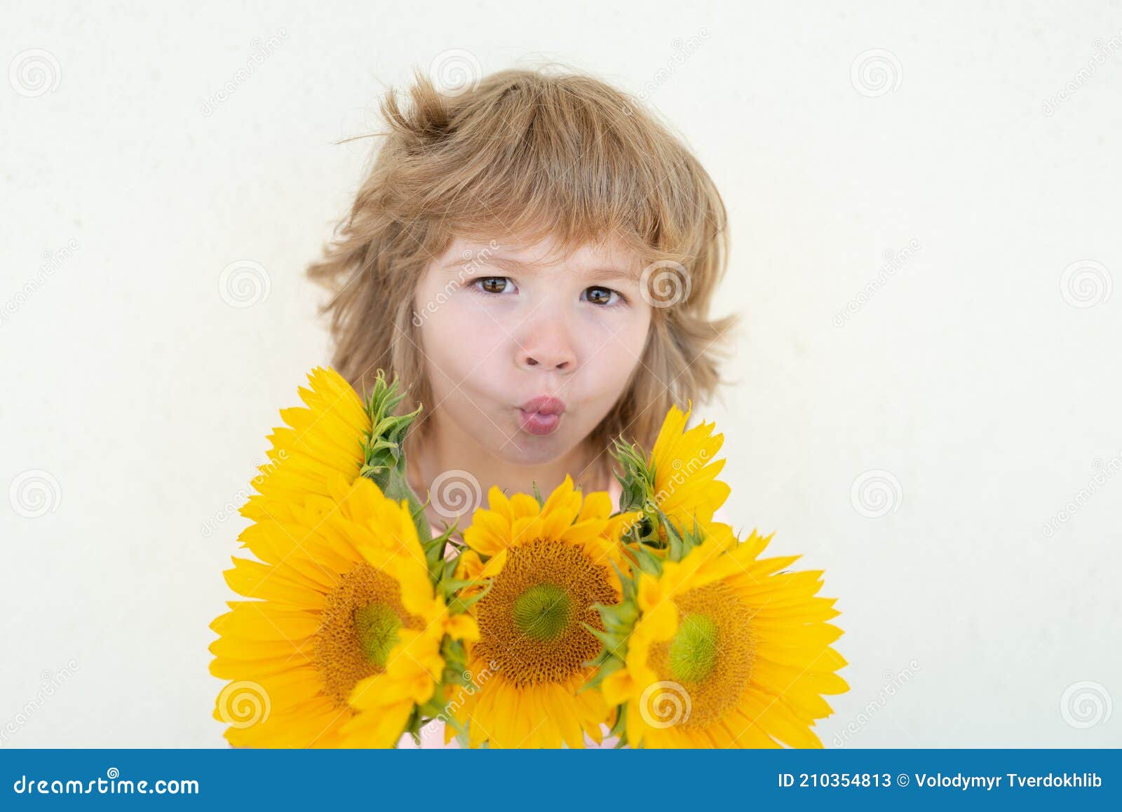 Sun flower surprise