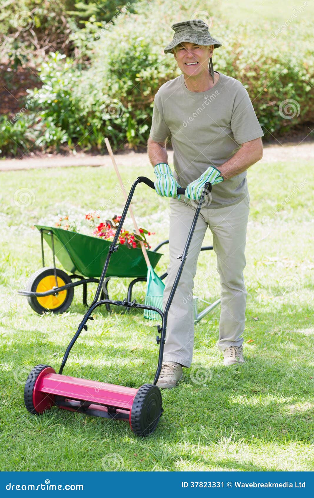 Elderly Man Mowing Lawn Ear Protection RoyaltyFree Stock Image