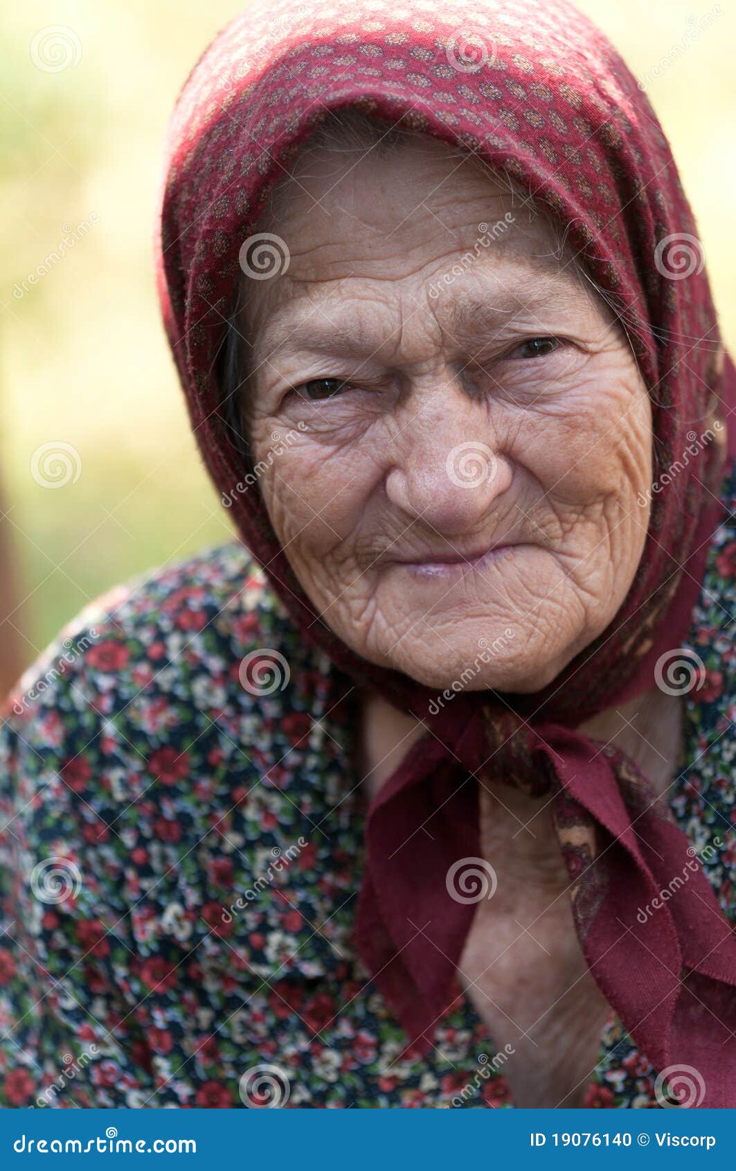 Smiling Old Woman Stock Photo Image 19076140