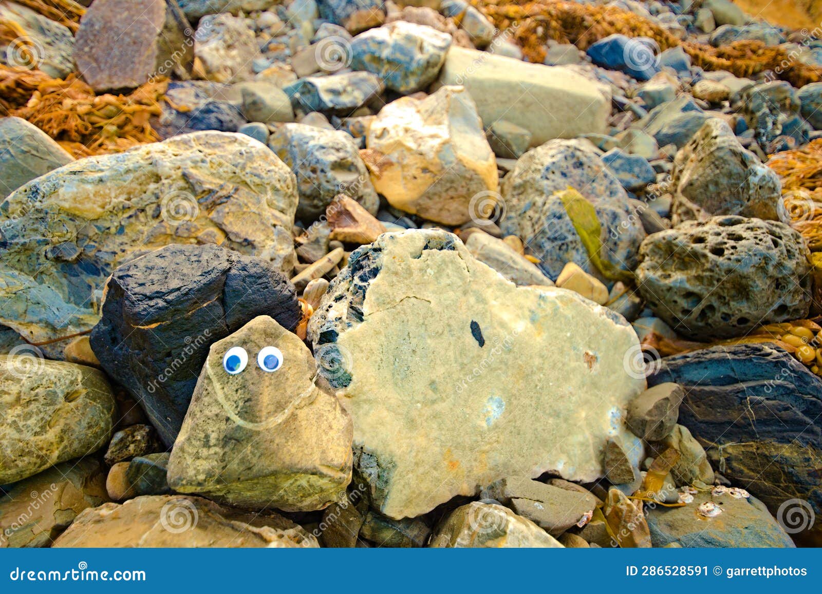 A Smiling Rock with Googly Eyes Sits on a Rocky Sea Shore Stock Image