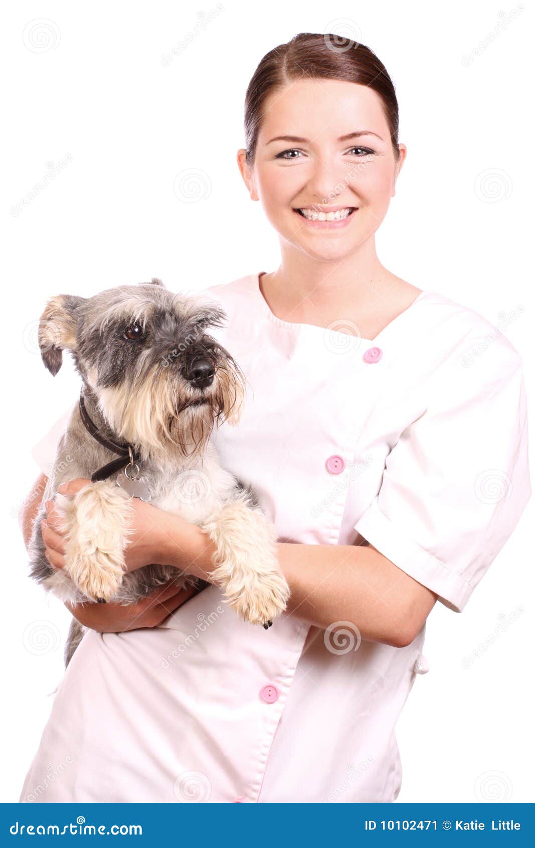 Smiling Vet Holding a Cute Dog Stock Image Image of doctor, healthy