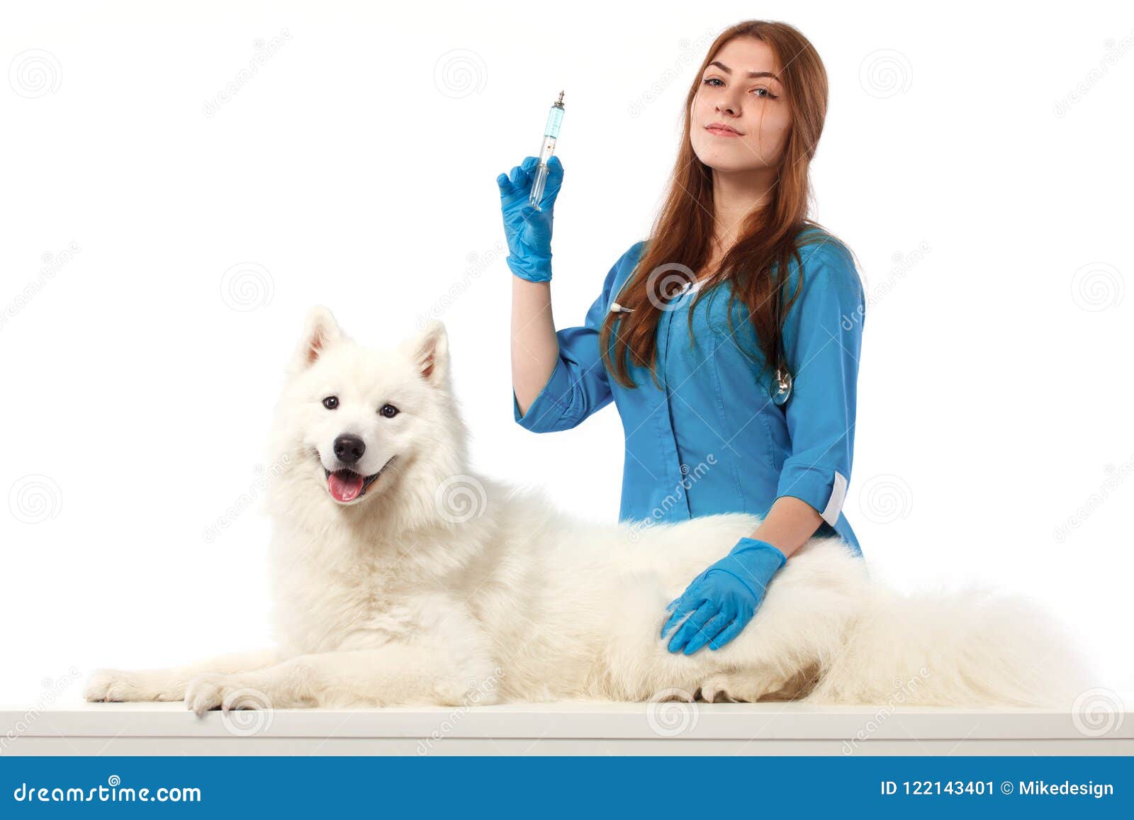 pet doctor veterinary clinic