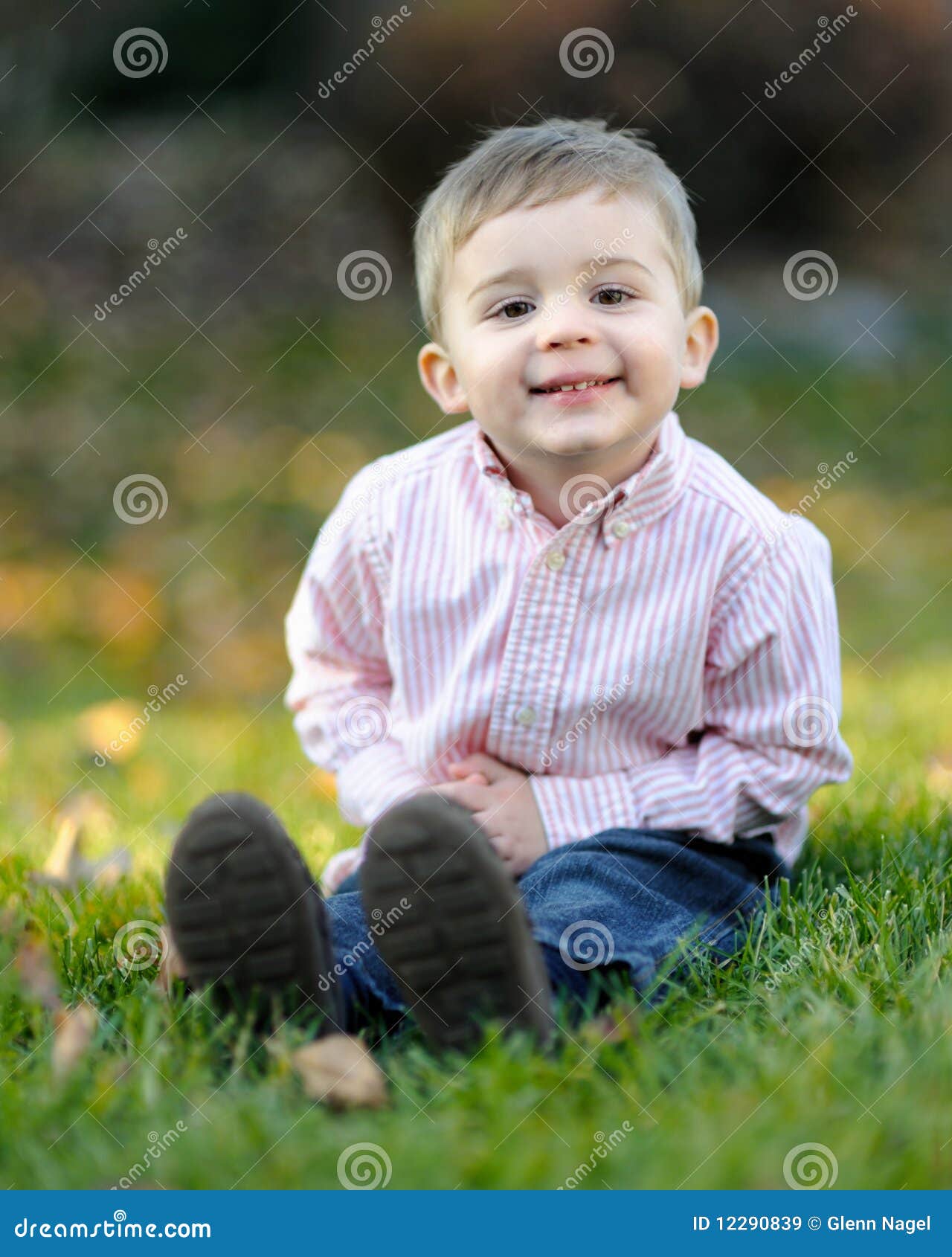 Smiling young boy on grass stock image. Image of caucasian - 12290839