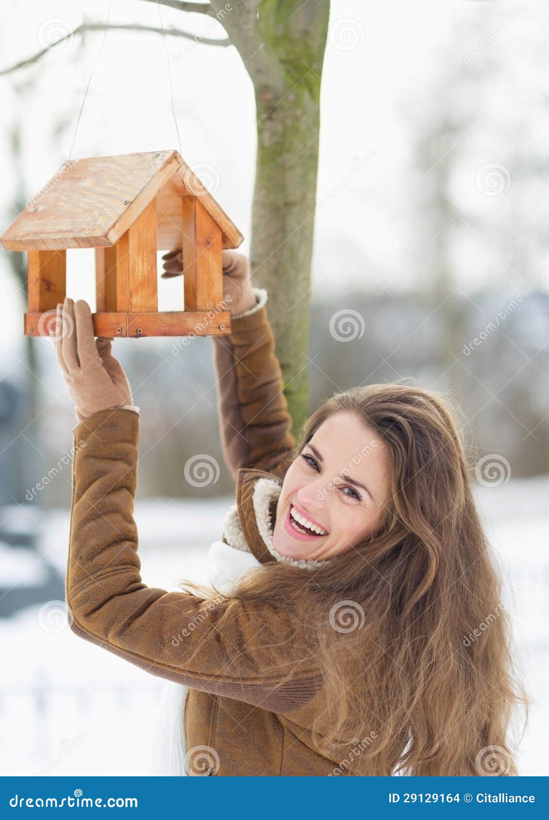 Smiling Young Woman Hanging Bird Feeder on Tree Stock Photo Image of