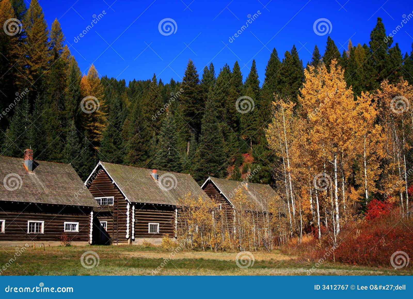 Smiths Ferry Cabins stock image. Image of transition, camp 3412767